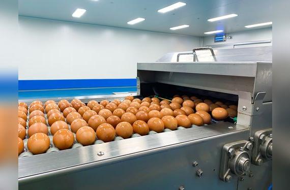 Esta máquina se encarga de limpiarlos y aplicar una película protectora.   