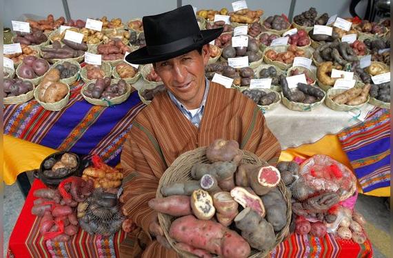 Los agricultores son también guardianes de la biodiversidad, cultivando cientos de variedades de papas.    