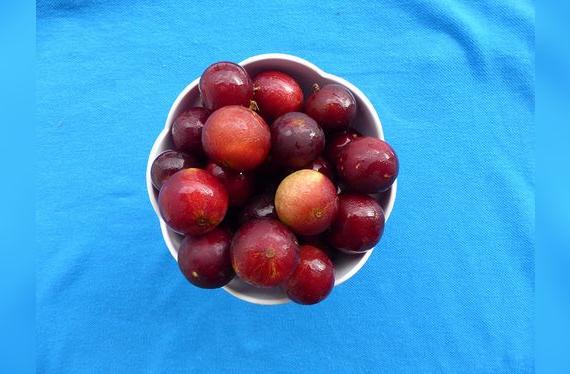 El camu camu es una de las joyas de la Amazonía.   