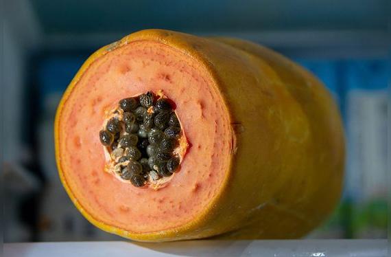 Si no cubres la pulpa expuesta de la papaya, suele ponerse fea en la refrigeradora.   