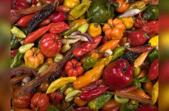 En el Perú hay decenas de ajíes, propias de las cocinas regionales.    