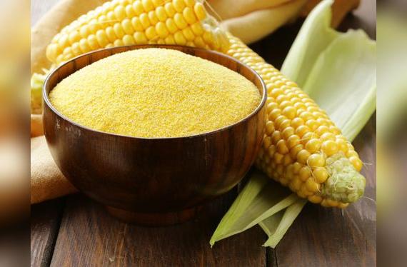 La sémola es maíz amarillo molido, y la base de la polenta.   