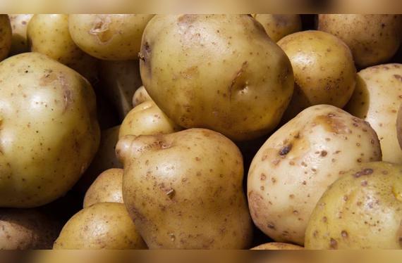 La papa suele usarse en la sopa a la minuta; solo hay que cuidar que no se cocine demasiado.   