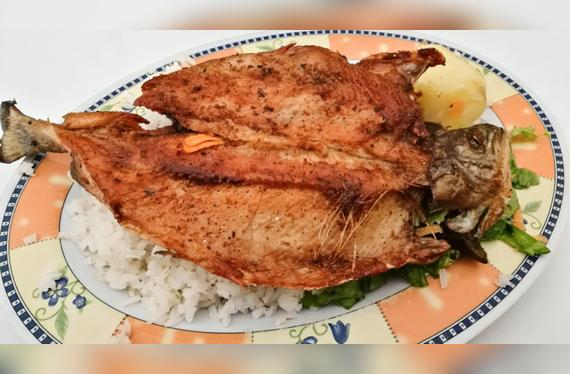Trucha frita.   