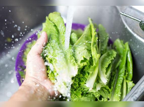 Se debe lavar hoja por hoja   