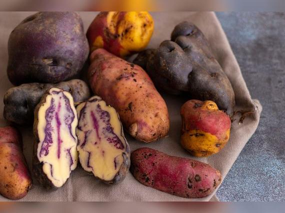 Perú cuenta con una amplia variedad de papas   
