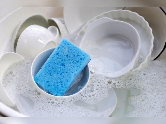 La esponja es un foco infeccioso de bacterias y hongos.   