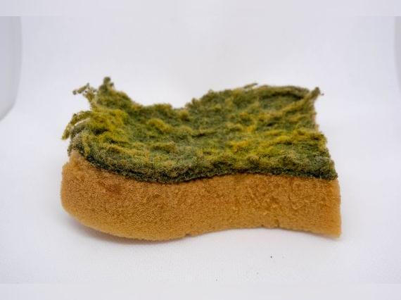 Cambia de esponja si tiene las fibras separadas, está muy blanda y o tiene un olor desagradable.   