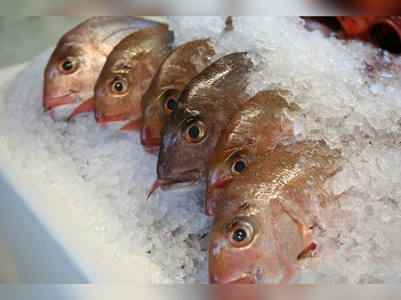 Para reducir la carga de metales, se sugiere retirar la piel, evitar frituras y cocinar al vapor.    