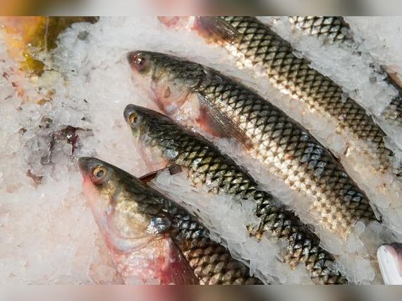 Usar condimentos como ajo y limón puede ayudar a disminuir la absorción de mercurio.   