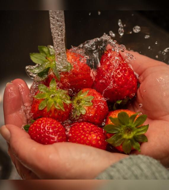 Lava las fresas con agua, luego un cepillo y finalmente en una solución de lejía y agua.   