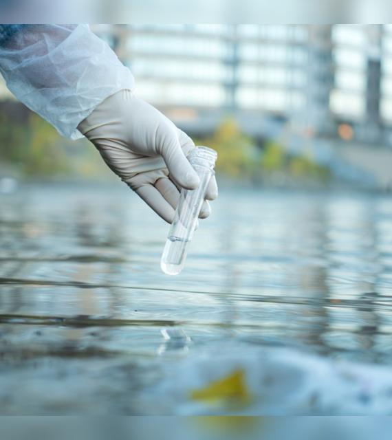 El mercurio en el mar es causado por el vertido de desechos tóxicos.   