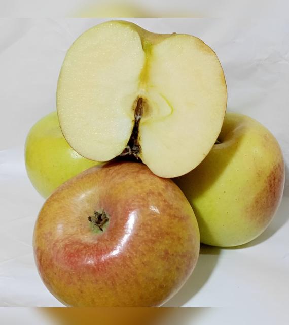 La manzana caña es la que no se oxida.   