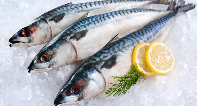Pescado buenazo