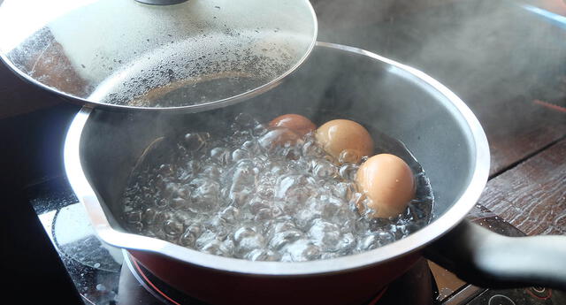coccion de huevos buenazo