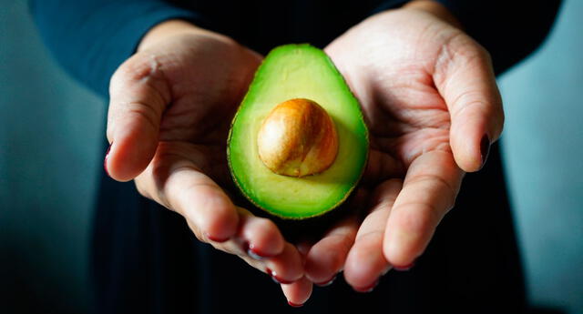 abridora palta buenazo