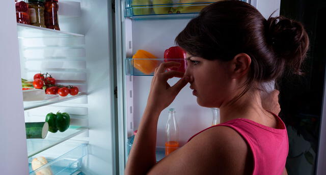 malos olores en la refrigeradora buenazo
