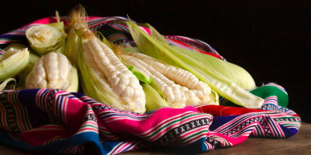 maiz blanco del cusco buenazo