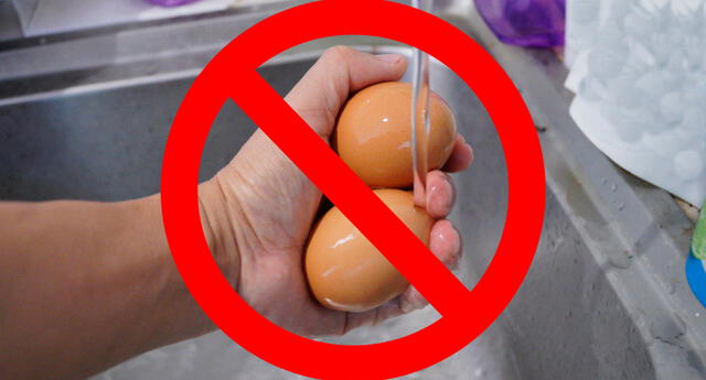 Lavado de huevos buenazo