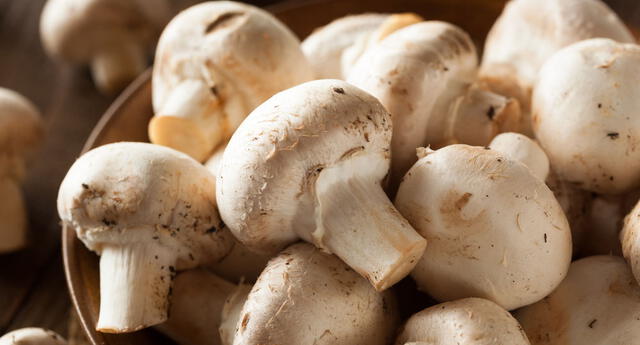 champiñones buenazo
