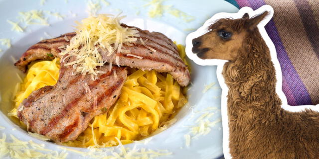 Lomo de alpaca y fideos con huancaína / Alpaca buenazo
