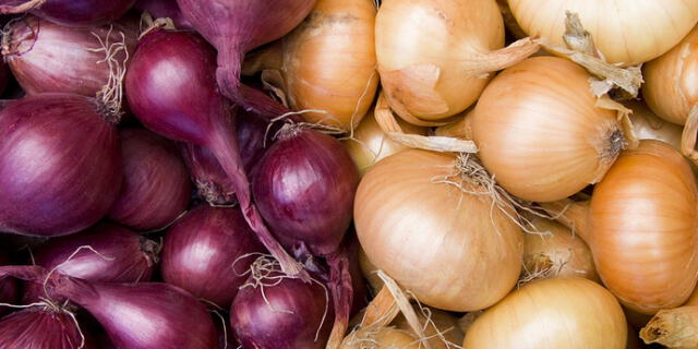 cebolla blanca y roja buenazo