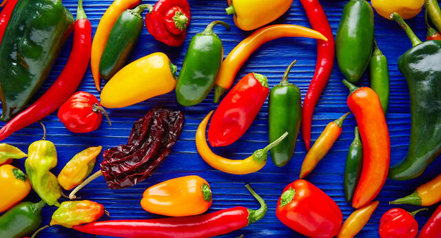 chiles mexicanos buenazo