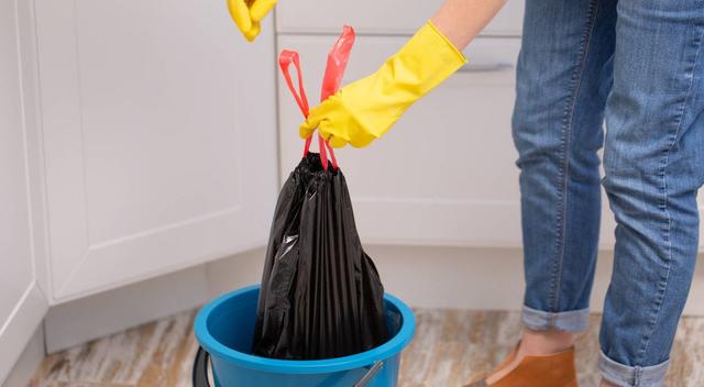 Es importante botar la basura que se acumula en la cocina para evitar la presencia de estos insectos Es importante botar la basura que se acumula en la cocina para evitar la presencia de estos insectos