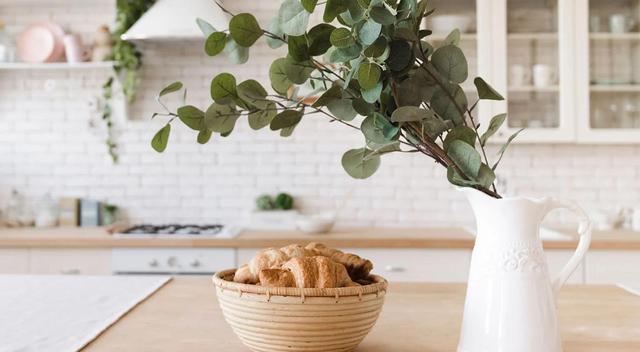 "Algunas plantas emiten un olor que actúa como un repelente natural contra los insectos". "Algunas plantas emiten un olor que actúa como un repelente natural contra los insectos".