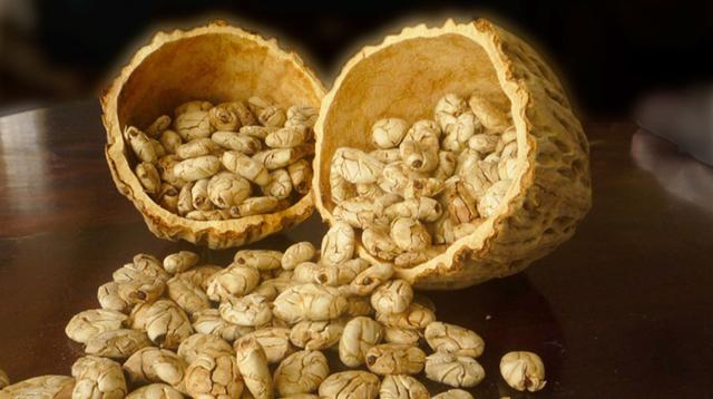 Es un fruto perteneciente a la familia del cacao Es un fruto perteneciente a la familia del cacao