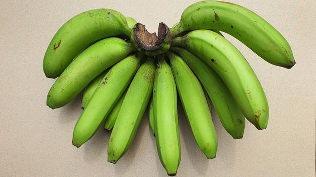 El consumo de plátano verde tiene menor impacto en los niveles de azúcar en sangre. El consumo de plátano verde tiene menor impacto en los niveles de azúcar en sangre.