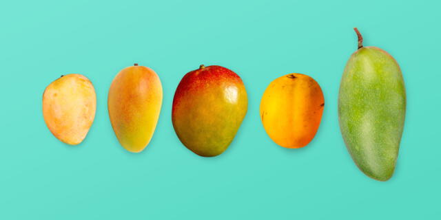 Comparación de mangos Comparación de mangos