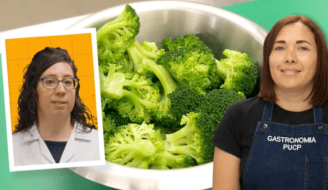 ¿Cómo congelar correctamente las verduras? ¿Cómo congelar correctamente las verduras?