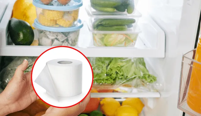 ¿Por qué debes dejar un rollo de papel dentro del refrigerador? ¿Por qué debes dejar un rollo de papel dentro del refrigerador?