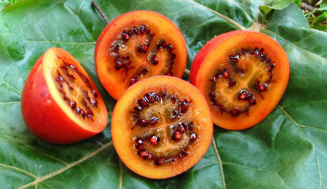 tamarillo