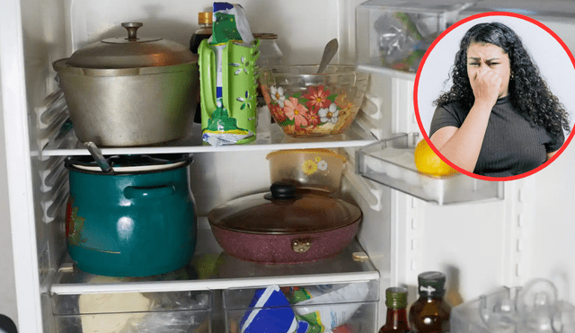 Cómo evitar que la comida tenga sabor a refri Cómo evitar que la comida tenga sabor a refri