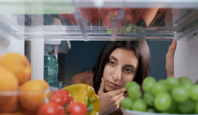 Esta es la parte de la refrigeradora donde se puede conservar mejor la comida en verano Esta es la parte de la refrigeradora donde se puede conservar mejor la comida en verano