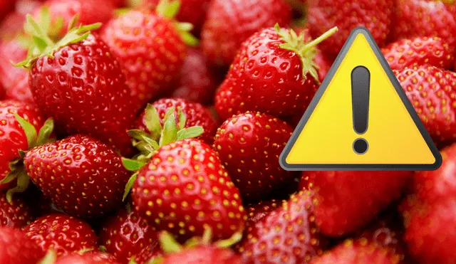 No consumas fresas sin saber esto No consumas fresas sin saber esto