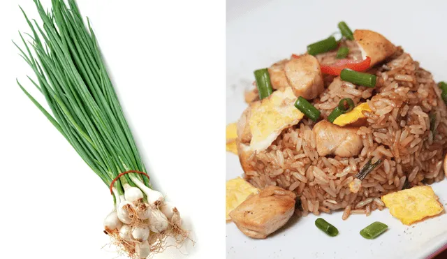 Alimentos para reemplazar la cebolla china y evitar intoxicación por pesticidas. Foto: Buenazo / Shutterstock Alimentos para reemplazar la cebolla china y evitar intoxicación por pesticidas. Foto: Buenazo / Shutterstock