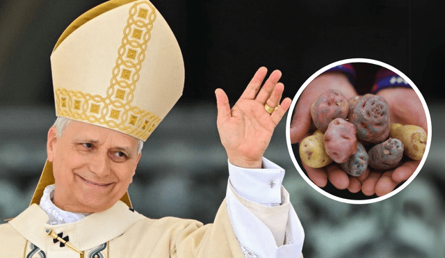 Papa León XIV :"Ahora tienen 4001 especies de papa" Papa León XIV :"Ahora tienen 4001 especies de papa"