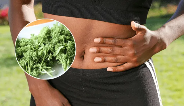 Este súper alimento, es rico en proteínas, calcio y vitaminas A, C y B. Fuente: Composición LR. Este súper alimento, es rico en proteínas, calcio y vitaminas A, C y B. Fuente: Composición LR.