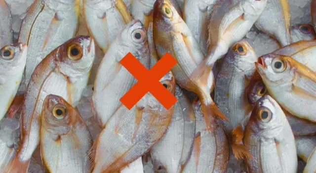 El pescado es un insumo esencial en platos como el ceviche y la parihuela, rico en omega-3, proteínas y vitaminas. Fuente: ComposiciónLR. El pescado es un insumo esencial en platos como el ceviche y la parihuela, rico en omega-3, proteínas y vitaminas. Fuente: ComposiciónLR.