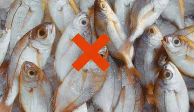 El pescado es un insumo esencial en platos como el ceviche y la parihuela, rico en omega-3, proteínas y vitaminas. Fuente: ComposiciónLR. El pescado es un insumo esencial en platos como el ceviche y la parihuela, rico en omega-3, proteínas y vitaminas. Fuente: ComposiciónLR.