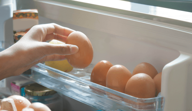 No guardes los huevos en el refrigerador, podrían perder sus nutrientes. Foto: Buenazo / Shutterstock No guardes los huevos en el refrigerador, podrían perder sus nutrientes. Foto: Buenazo / Shutterstock