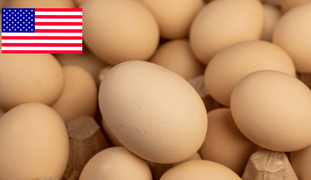 En más de 5 estados fueron distribuidos los huevos contaminados. Foto: Buenazo / Shutterstock En más de 5 estados fueron distribuidos los huevos contaminados. Foto: Buenazo / Shutterstock