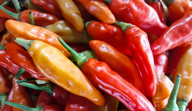 El consumo de ají previene diversas enfermedades. Foto: Buenazo / Shutterstock El consumo de ají previene diversas enfermedades. Foto: Buenazo / Shutterstock