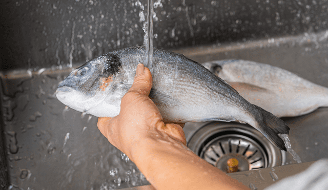 No cometas el error de lavar el pescado antes de freírlo. Foto: Buenazo / Shutterstock No cometas el error de lavar el pescado antes de freírlo. Foto: Buenazo / Shutterstock