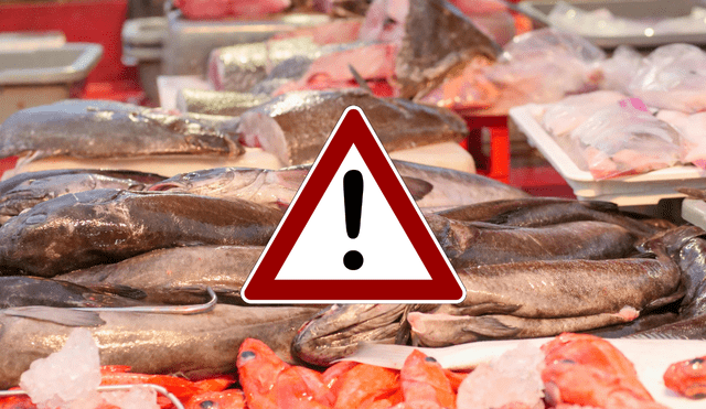 Inspectores alertaron sobre el riesgo de Clostridium botulinum en el pescado. Inspectores alertaron sobre el riesgo de Clostridium botulinum en el pescado.