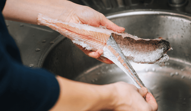 ¡Cuidado con el pescado más venenoso del mundo! ¡Cuidado con el pescado más venenoso del mundo!