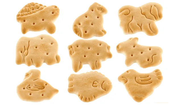 Qué tan dañino es comer galletas de animalito. Qué tan dañino es comer galletas de animalito.
